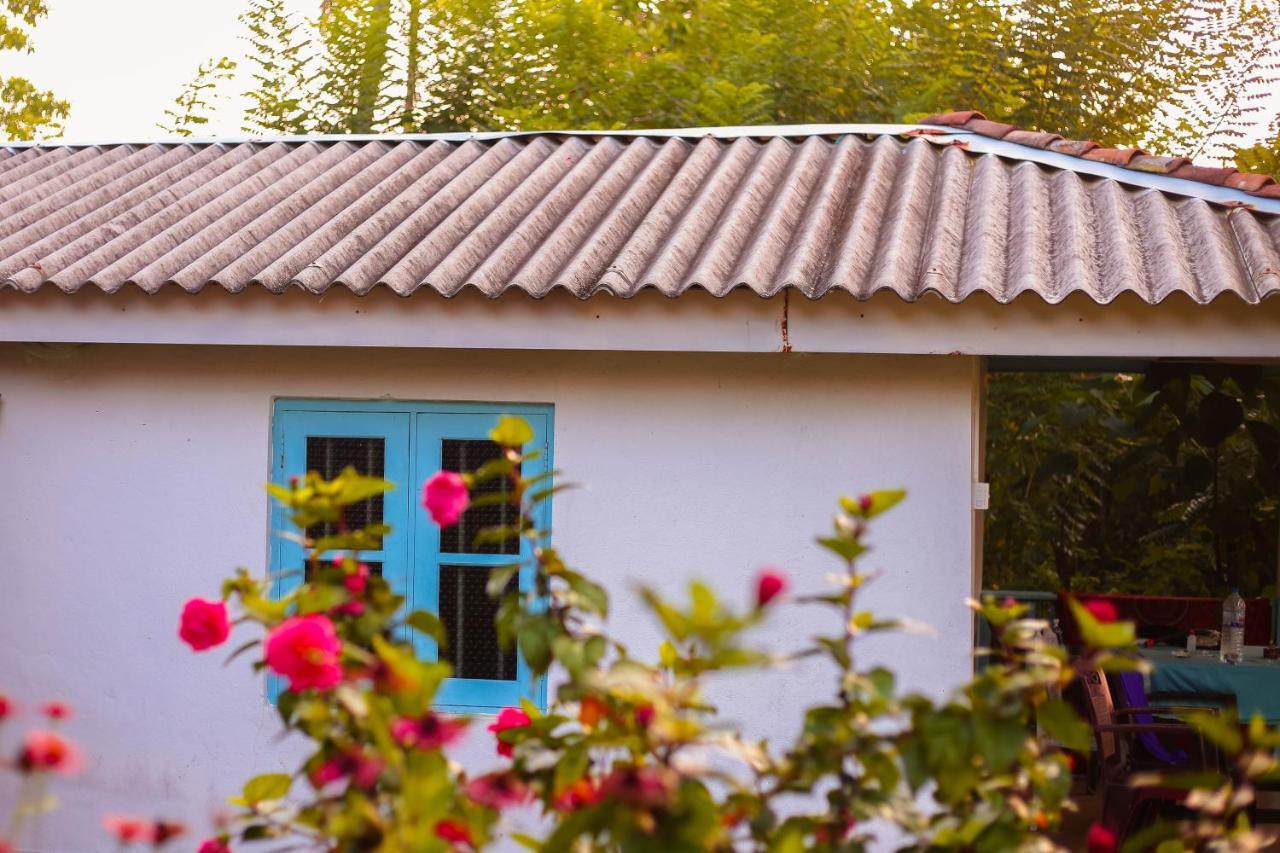 Tehan Homestay Dikwella Exteriér fotografie