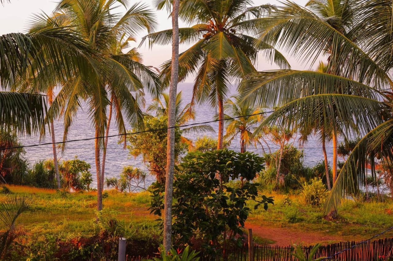 Tehan Homestay Dikwella Exteriér fotografie