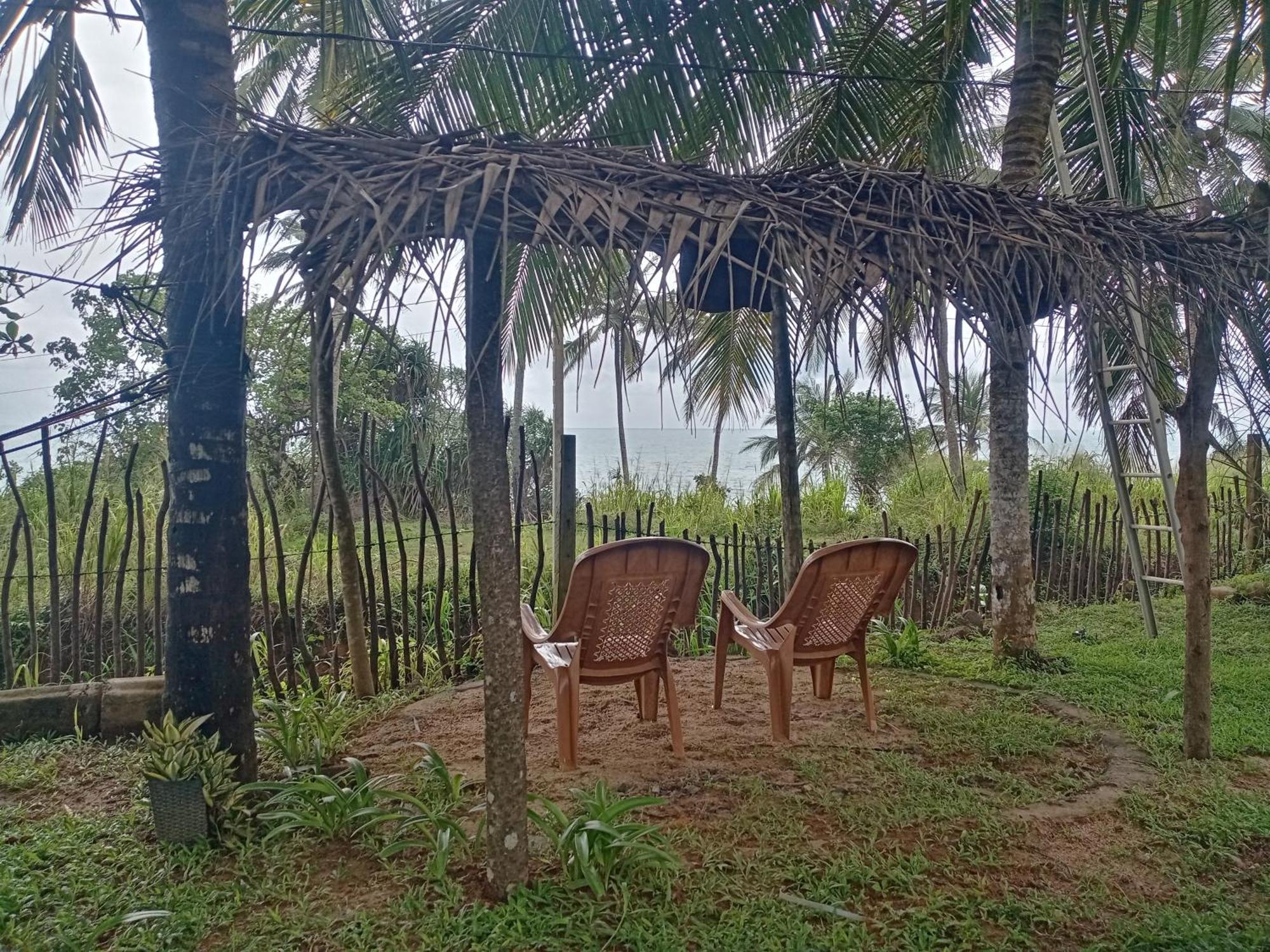 Tehan Homestay Dikwella Exteriér fotografie