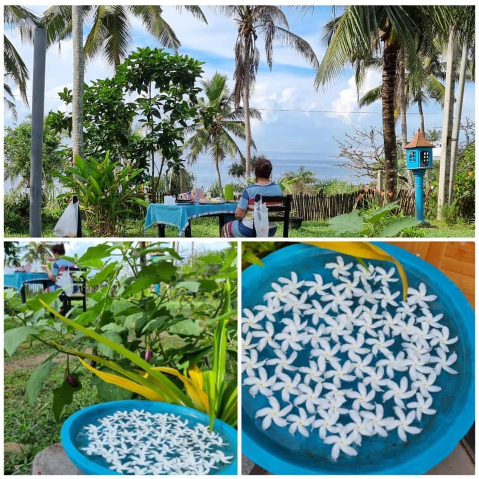 Tehan Homestay Dikwella Pokoj fotografie